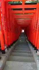 日枝神社の鳥居