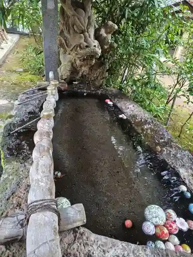 雲樹寺の御朱印