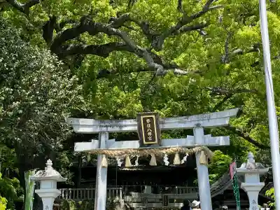 事任八幡宮(静岡県)