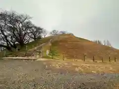 前玉神社(埼玉県)