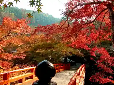 西明寺(京都府)
