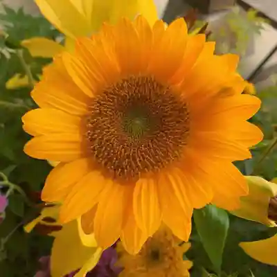 滑川神社 - 仕事と子どもの守り神の手水舎