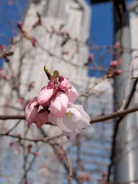 熊野神社(東京都)