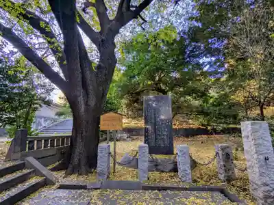 湯島聖堂の自然