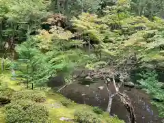 西芳寺の庭園