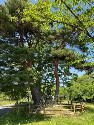 涌谷神社(宮城県)