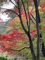 十輪寺(京都府)