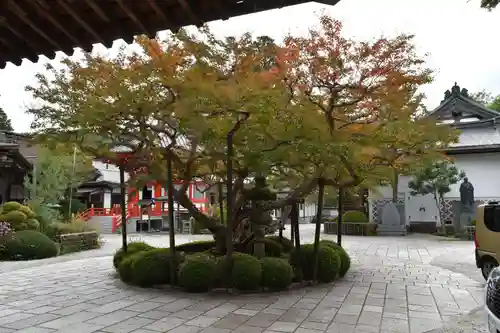 普賢院(和歌山県)