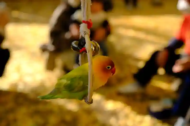 丹生酒殿神社(和歌山県)