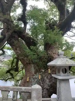 與止日女神社(佐賀県)