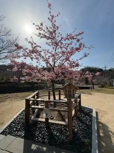 根来寺の{uncategorized: "未分類", other: "その他", undefined: "問題あり", building: "その他建物", grave: "お墓", sacred_gate: "鳥居", guardian: "狛犬", statue: "像", buddha: "仏像", history: "歴史", nature: "自然", garden: "庭園", animal: "動物", pagoda: "塔", temizu: "手水舎", mountain_gate: "山門・神門", sanctuary: "本殿・本堂", subordinate: "末社・摂社", art: "芸術", scenery: "景色", jizo: "地蔵", ema: "絵馬", goshuin: "御朱印", omikuji: "おみくじ", items: "授与品その他", amulet: "お守り", goshuincho: "御朱印帳", eats: "食事", festival: "お祭り", votive_dance: "神楽", shichigosan: "七五三参", wedding: "結婚式", experience: "体験その他", initially: "初詣", around: "周辺", anti_infection: "感染症対策"}
