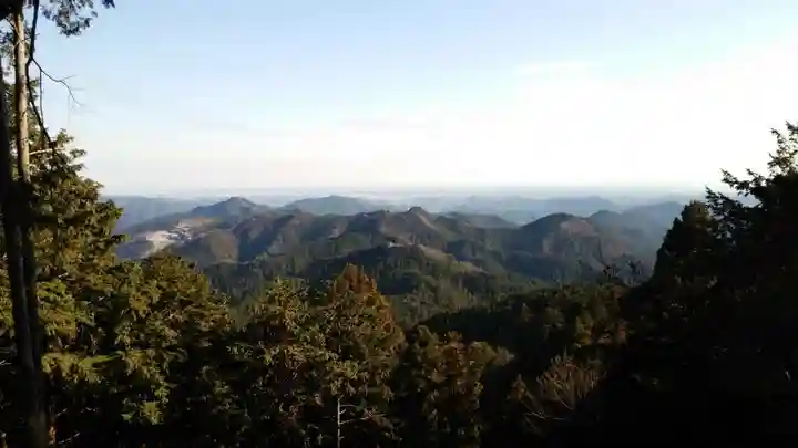 天龍寺(埼玉県)