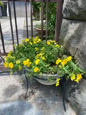 西念寺(神奈川県)