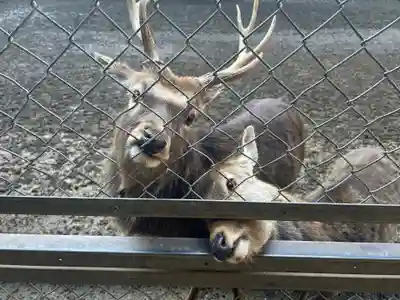 奥宮(鹿島神宮摂社)(茨城県)