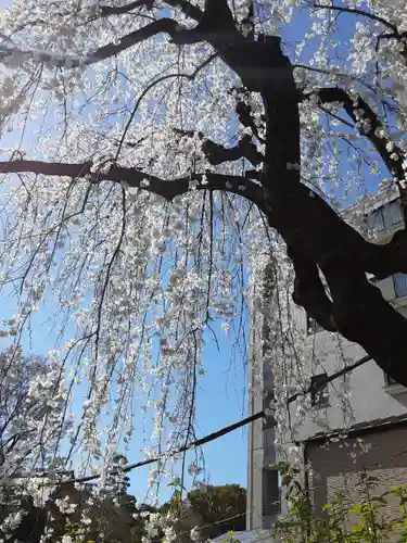 法輪寺(東京都)