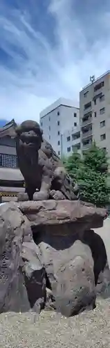 浅草神社の狛犬