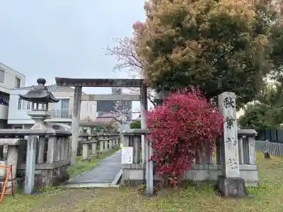 秋葉神社(愛知県)