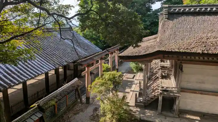 岡田國神社の{uncategorized: "未分類", other: "その他", undefined: "問題あり", building: "その他建物", grave: "お墓", sacred_gate: "鳥居", guardian: "狛犬", statue: "像", buddha: "仏像", history: "歴史", nature: "自然", garden: "庭園", animal: "動物", pagoda: "塔", temizu: "手水舎", mountain_gate: "山門・神門", sanctuary: "本殿・本堂", subordinate: "末社・摂社", art: "芸術", scenery: "景色", jizo: "地蔵", ema: "絵馬", goshuin: "御朱印", omikuji: "おみくじ", items: "授与品その他", amulet: "お守り", goshuincho: "御朱印帳", eats: "食事", festival: "お祭り", votive_dance: "神楽", shichigosan: "七五三参", wedding: "結婚式", experience: "体験その他", initially: "初詣", around: "周辺", anti_infection: "感染症対策"}