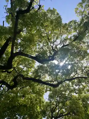 富岡八幡宮(東京都)