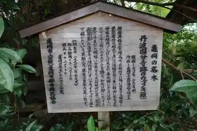 國分寺(国分寺)の歴史