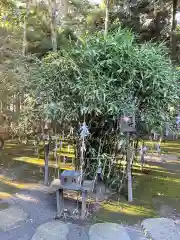 常陸第三宮　吉田神社(茨城県)