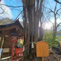 貴船神社(京都府)