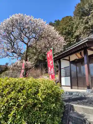 本願寺(栃木県)
