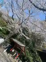 日枝神社の{uncategorized: "未分類", other: "その他", undefined: "問題あり", building: "その他建物", grave: "お墓", sacred_gate: "鳥居", guardian: "狛犬", statue: "像", buddha: "仏像", history: "歴史", nature: "自然", garden: "庭園", animal: "動物", pagoda: "塔", temizu: "手水舎", mountain_gate: "山門・神門", sanctuary: "本殿・本堂", subordinate: "末社・摂社", art: "芸術", scenery: "景色", jizo: "地蔵", ema: "絵馬", goshuin: "御朱印", omikuji: "おみくじ", items: "授与品その他", amulet: "お守り", goshuincho: "御朱印帳", eats: "食事", festival: "お祭り", votive_dance: "神楽", shichigosan: "七五三参", wedding: "結婚式", experience: "体験その他", initially: "初詣", around: "周辺", anti_infection: "感染症対策"}