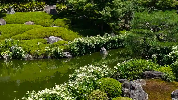 両足院(京都府)