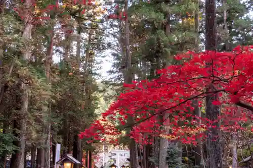 小國神社(静岡県)