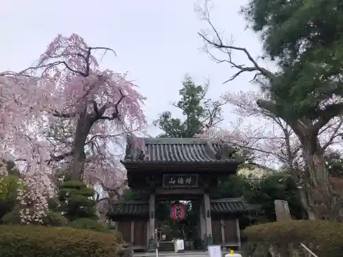 栽松院の{uncategorized: "未分類", other: "その他", undefined: "問題あり", building: "その他建物", grave: "お墓", sacred_gate: "鳥居", guardian: "狛犬", statue: "像", buddha: "仏像", history: "歴史", nature: "自然", garden: "庭園", animal: "動物", pagoda: "塔", temizu: "手水舎", mountain_gate: "山門・神門", sanctuary: "本殿・本堂", subordinate: "末社・摂社", art: "芸術", scenery: "景色", jizo: "地蔵", ema: "絵馬", goshuin: "御朱印", omikuji: "おみくじ", items: "授与品その他", amulet: "お守り", goshuincho: "御朱印帳", eats: "食事", festival: "お祭り", votive_dance: "神楽", shichigosan: "七五三参", wedding: "結婚式", experience: "体験その他", initially: "初詣", around: "周辺", anti_infection: "感染症対策"}
