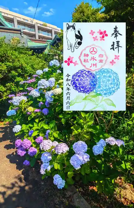 白金氷川神社の御朱印