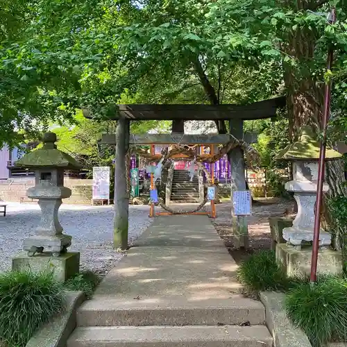 下野 星宮神社の鳥居