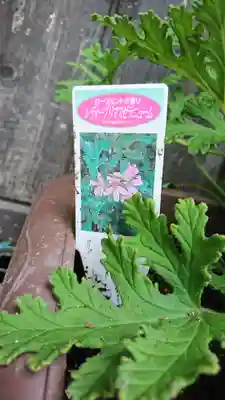 阿邪訶根神社のその他建物