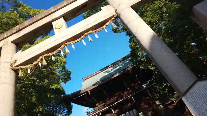 御霊神社(上御霊神社)の鳥居
