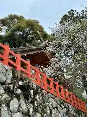 高鴨神社(奈良県)