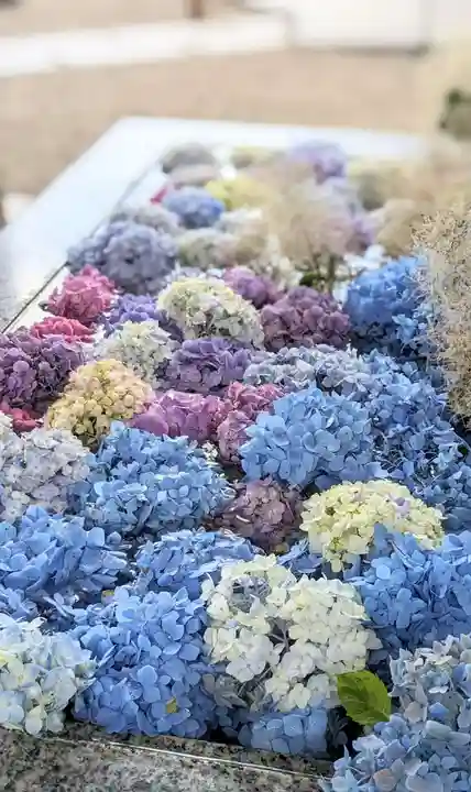 金蛇水神社(宮城県)