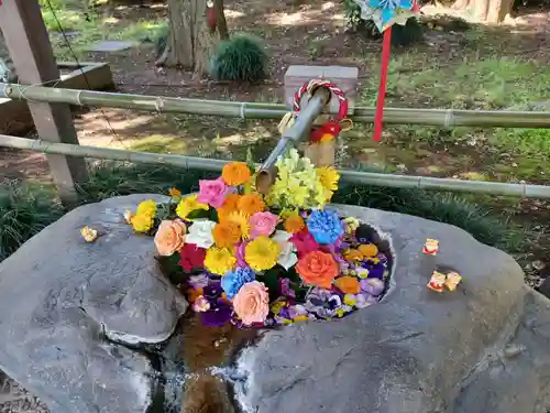 馬場氷川神社(埼玉県)