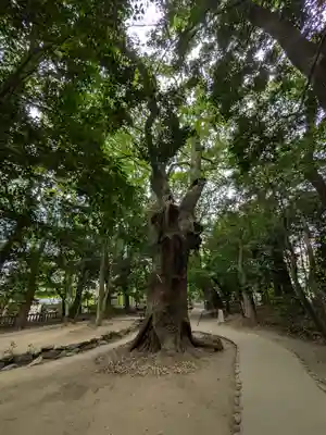 生田神社(兵庫県)