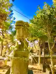 土浦三社神社(水天宮・水神宮・寿寅稲荷神社)の狛犬