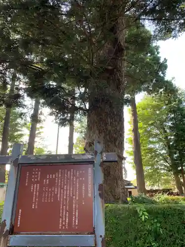 大宮神社の歴史