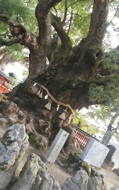 宇美八幡宮の自然