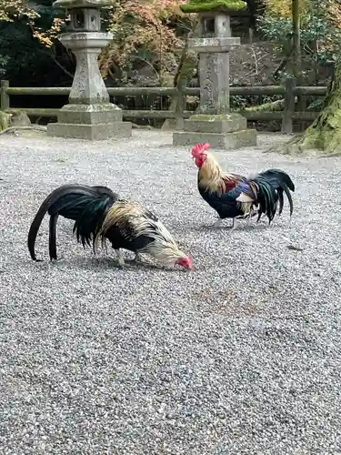 石上神宮(奈良県)