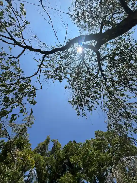 須走護國神社(静岡県)