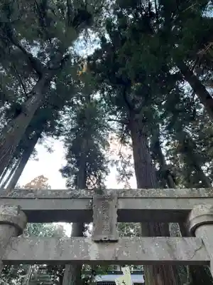 大宮温泉神社(栃木県)