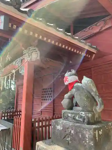 笹森稲荷神社の狛犬