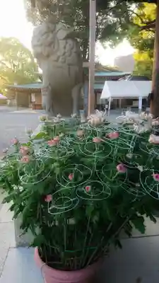 尾張大國霊神社(国府宮)の狛犬