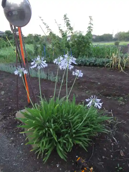 威徳院(千葉県)