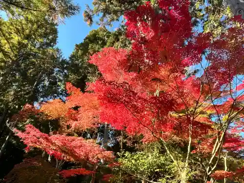 白山神社(滋賀県)