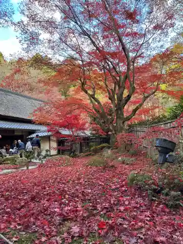 教林坊(滋賀県)